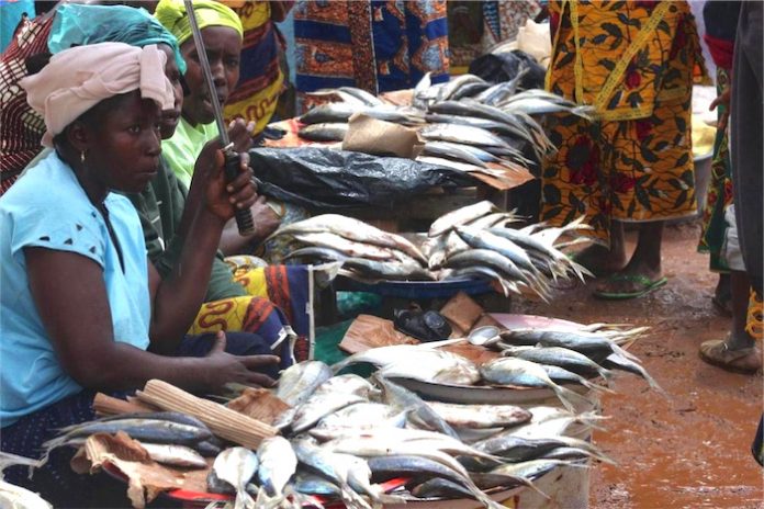 Des revendeuses de poissons