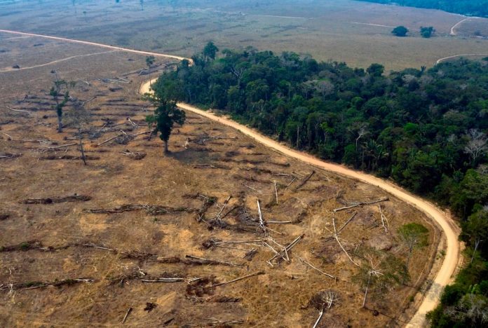 La déforestation progresse en Amazonie