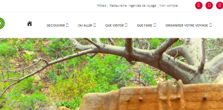 Capture d'écran d'une partie de la page d'accueille du site togotourisme.tg