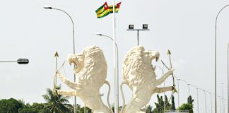 Le Togo adopte une nouvelle constitution et bascule vers un régime parlementaire Togo deux lions