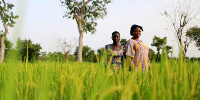 photo-agriculture-1