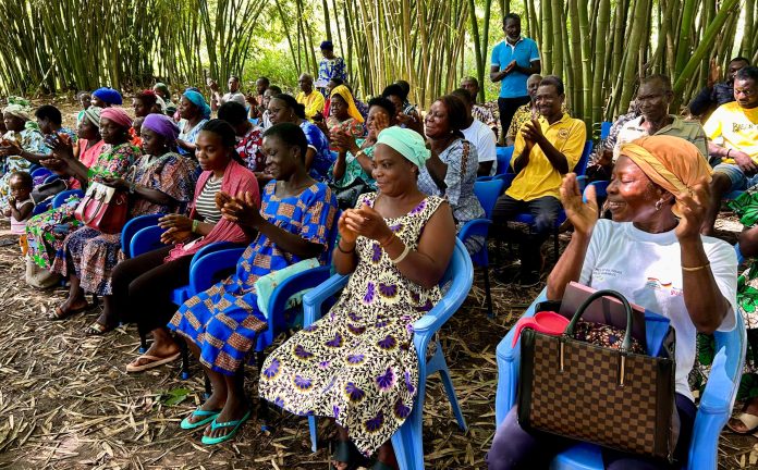 Des femmes productrices de gingembres. Tové Dzigbé. 15/10/2026 ©️ Le clik
